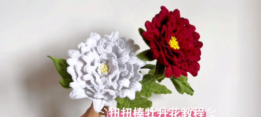 牡丹花毛线两种颜色的花语是什么？如何搭配？