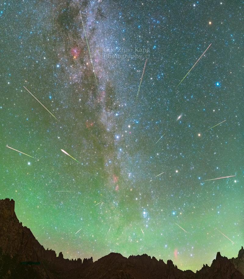 流星花的寓意及花语是什么？流星花象征着怎样的愿望？