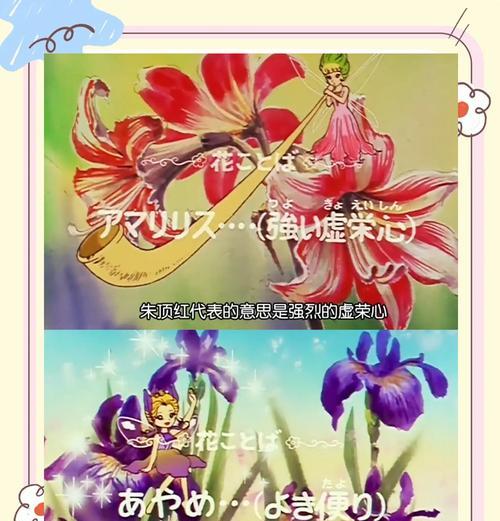 什么花代表张扬破碎感？这种花的花语是什么？