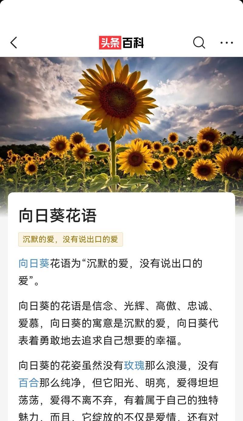 春天的花语代表什么？爱情中的花语有何含义？