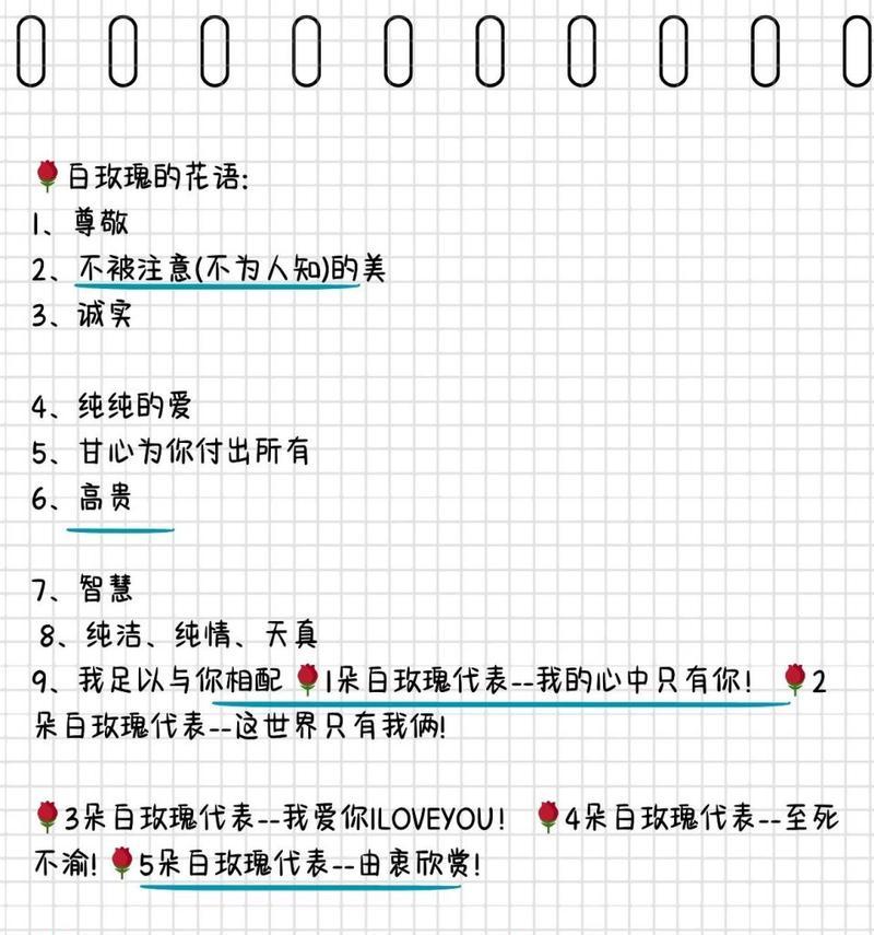 白玫瑰喷黑花的花语代表什么？它有何特殊含义？