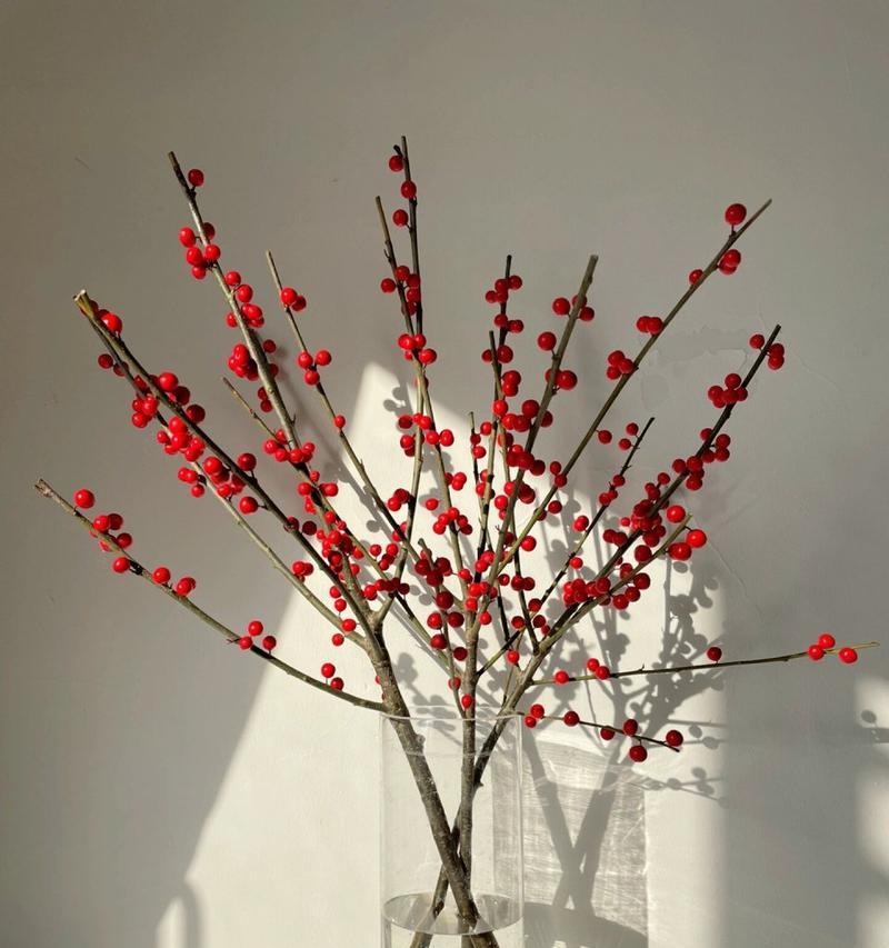 发财花的花语是什么？如何用花语表达发财的愿望？