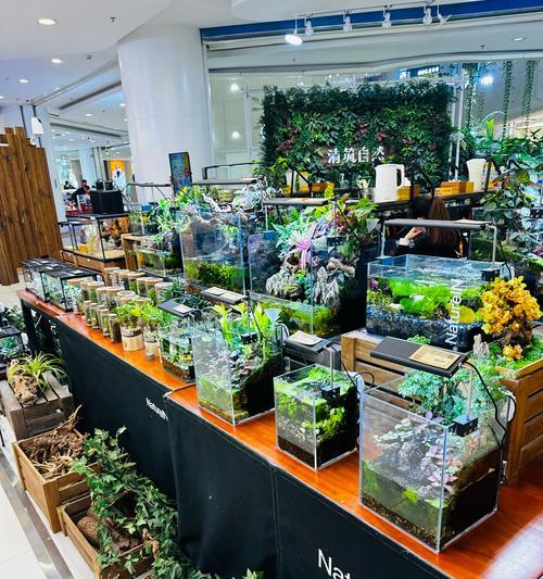 哪种植物代表安静平逸的花语？