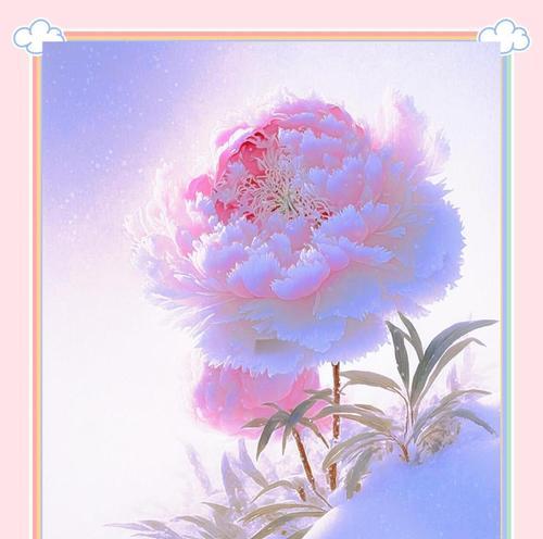 青春离别的花语是什么？青春离别时的花语含义是什么？