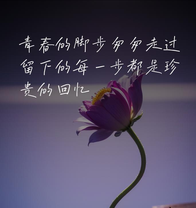 青春离别的花语是什么？青春离别时的花语含义是什么？