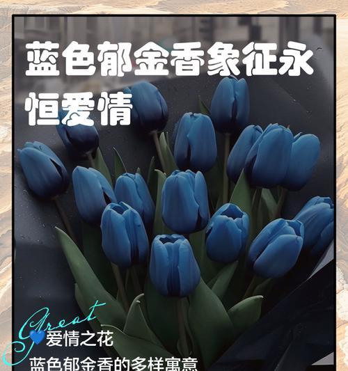 郁金香的花语中哪一种代表绝望？它象征着什么？