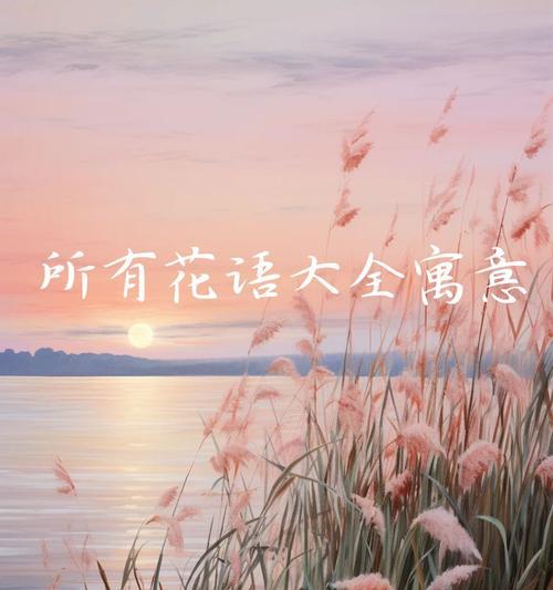 祖妈妈的花语代表了什么？