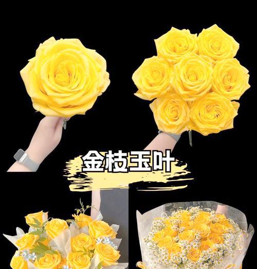 黄玫瑰有几种花语？它们各自代表什么意义？
