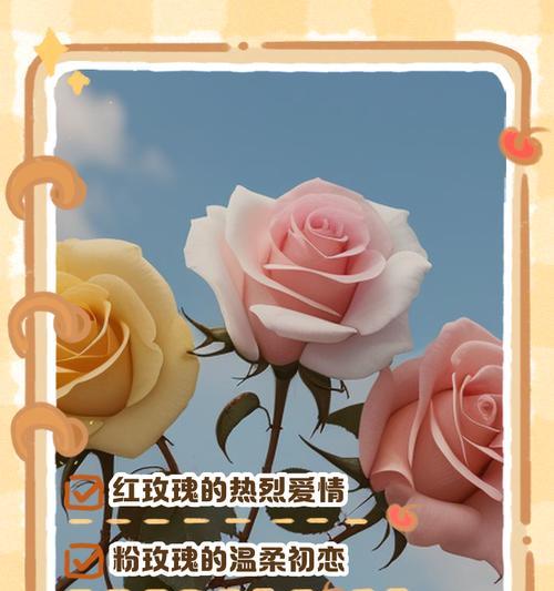 婚礼中送什么花语的鲜花最为合适？