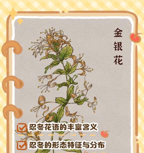 潇洒活着的花语是什么意思？如何用花语表达生活态度？