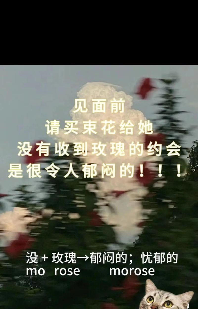 郁闷玫瑰的寓意能带来什么启示？