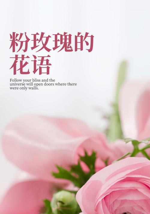 送对象哪种花语更能表达爱意？