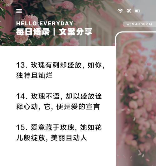 六朵花的花语有何特别含义？