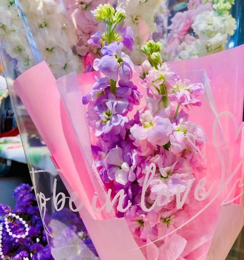 爱神花有几种花语？每种花语都代表了什么？