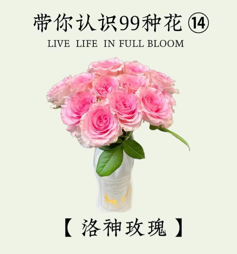4月3日对应的花语是什么？