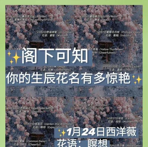 4月3日对应的花语是什么？