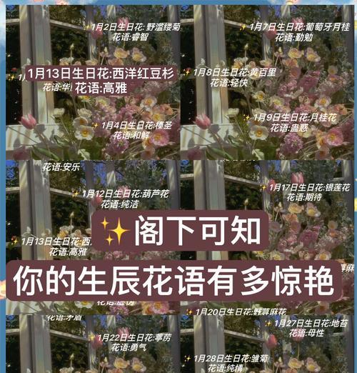 梅花在生日时的花语是什么？它传递了哪些信息？