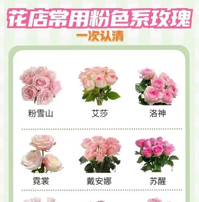 女生之间送玫瑰花有何含义？它们的花语传递了哪些信息？