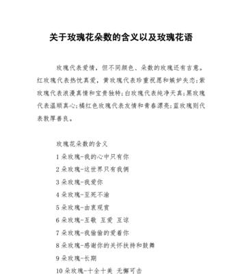 女生之间送玫瑰花有何含义？它们的花语传递了哪些信息？