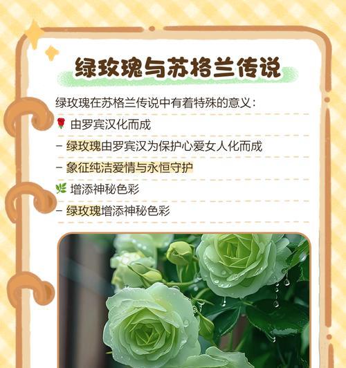 道具心动的花语是什么？如何用花语表达心动？