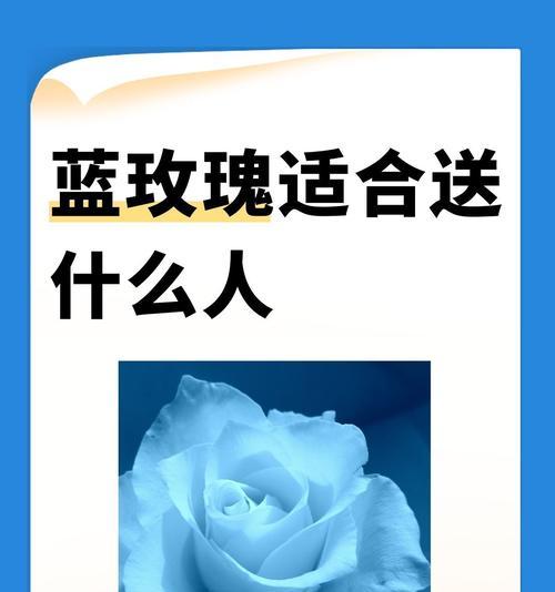 3色玫瑰花的寓意是什么？花语有何特别之处？