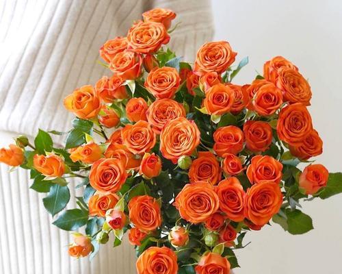 泡泡花的花语是什么？它代表了什么含义？