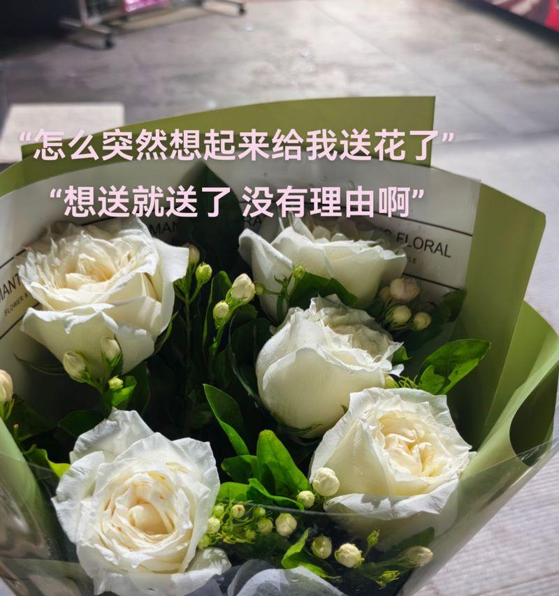 白鸽寄出玫瑰花代表什么？这种组合在表达情感时的含义是什么？
