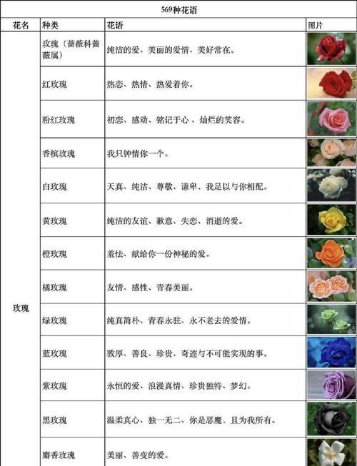 送花时的花语有哪些讲究？它们各自传达了什么信息？