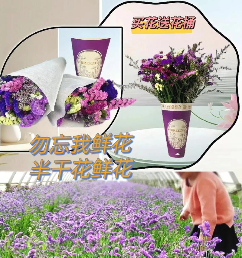 永恒主题的花语有哪些？它们象征着什么？