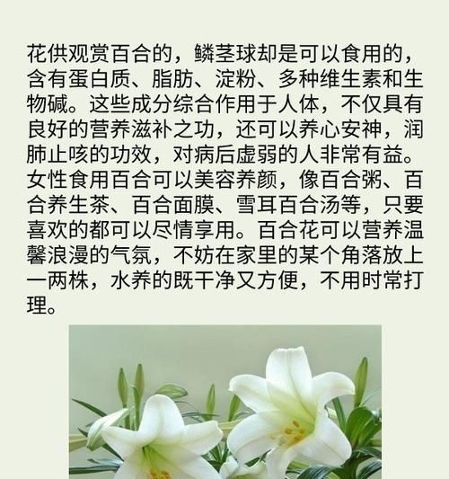 百合花的直爽花语具体指什么？