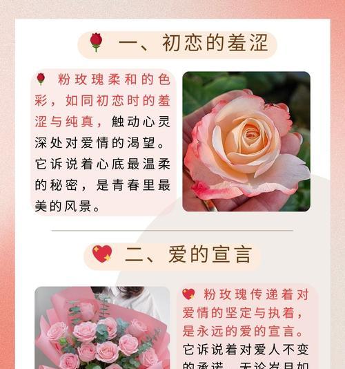 清晰简单的花语有何含义？它传递了哪些信息？