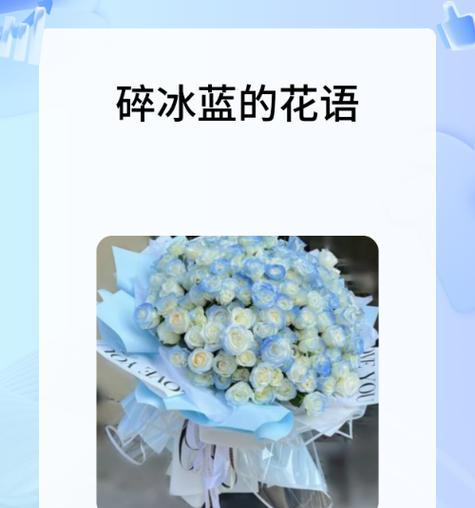 碎冰蓝玫瑰的花语有何深意？