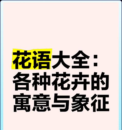 不受干扰的花语代表什么含义？