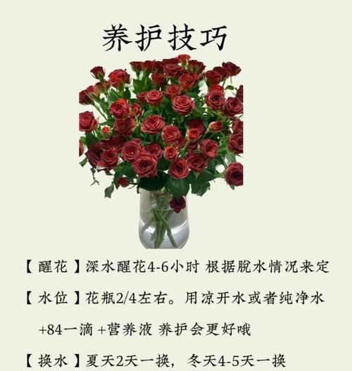 水里面的玫瑰花语是什么？这种花语有何含义？
