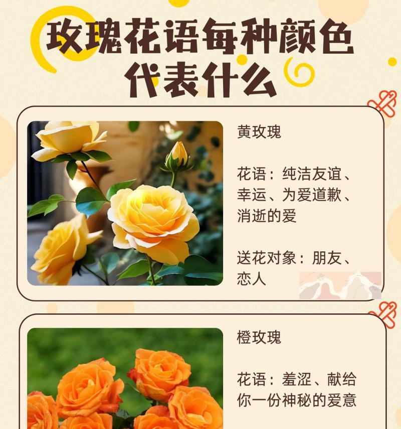 水里面的玫瑰花语是什么？这种花语有何含义？