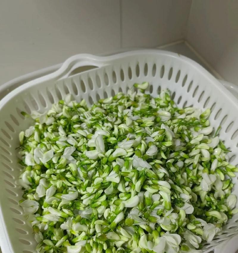 怀念姥姥时选择哪种花语最合适？