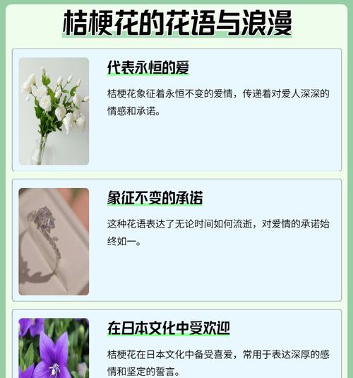哪种花的花语代表不讲信用？