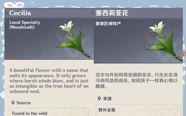 高贵的灵魂花语是什么？高贵灵魂的象征花有哪些？