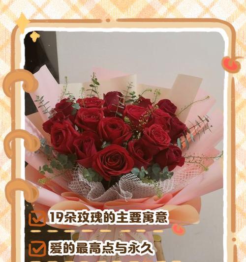 夏威夷玫瑰花的寓意是什么？