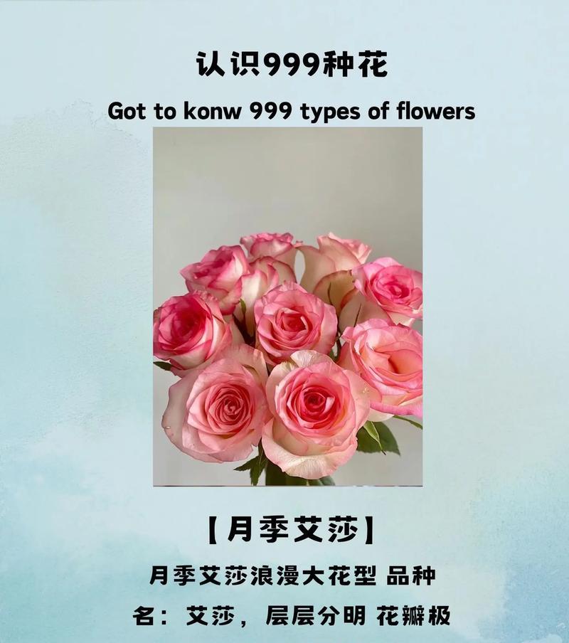 玫瑰花语在灵感乍现时代表什么？玫瑰花语的深层含义是什么？