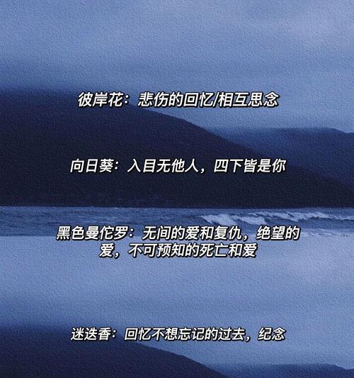 表达思念的花语有哪些？