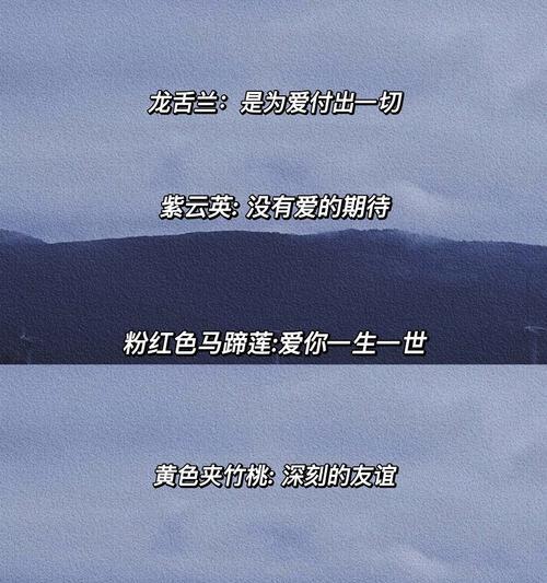 表达思念的花语有哪些？