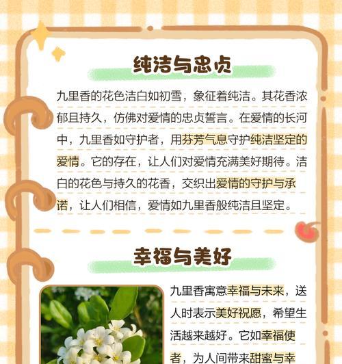 这些小花的名字和花语你知道吗？
