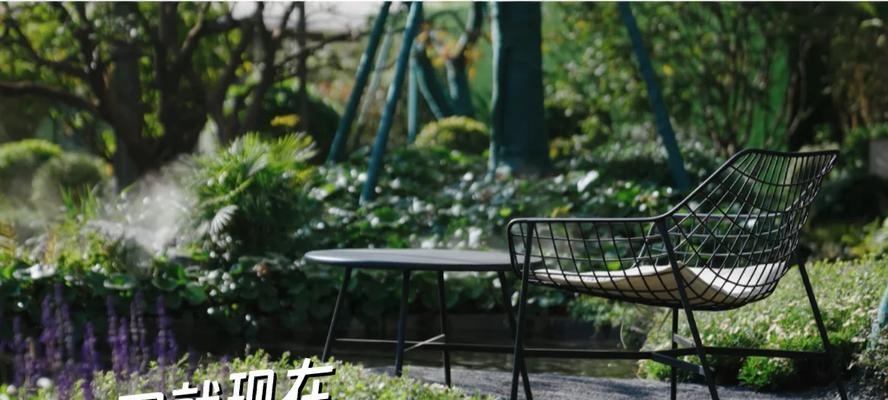 花语天宸停播原因是什么？知乎上有哪些讨论？