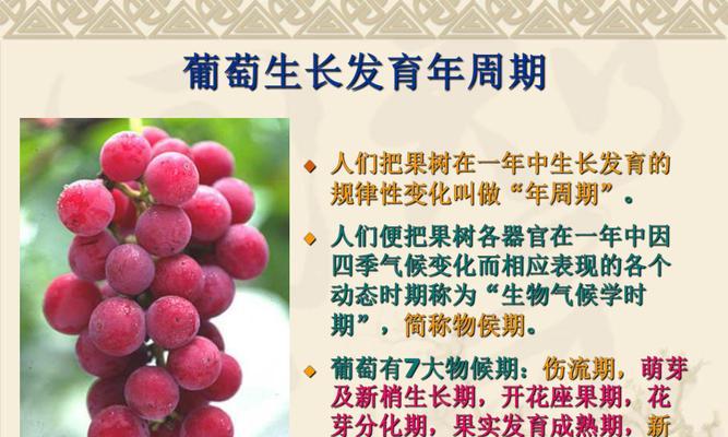 葡萄栽种方法和注意事项是什么？如何避免常见错误？