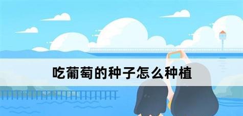 葡萄种子怎么种植？种植过程中需要注意哪些问题？