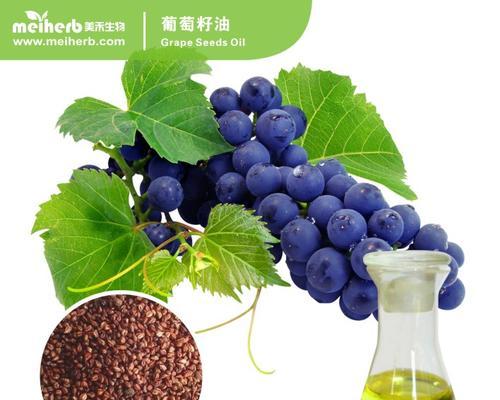 葡萄籽可以种吗？如何正确种植葡萄籽？