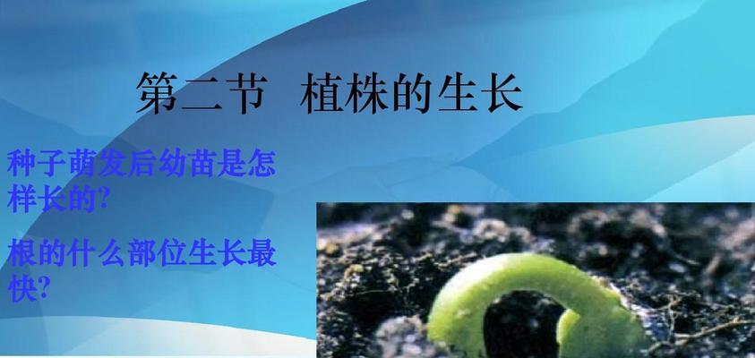 蒲公英如何生长？它的生长环境条件有哪些？