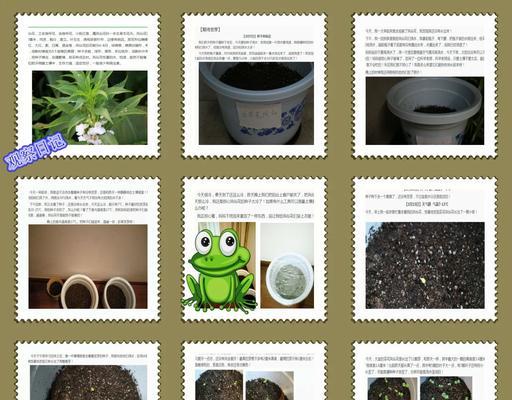 蒲瓜种子发芽需要多长时间？如何提高发芽率？