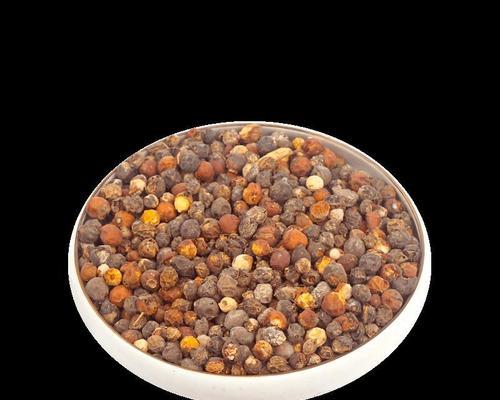 朴树冬天落叶吗？如何判断朴树的季节性变化？